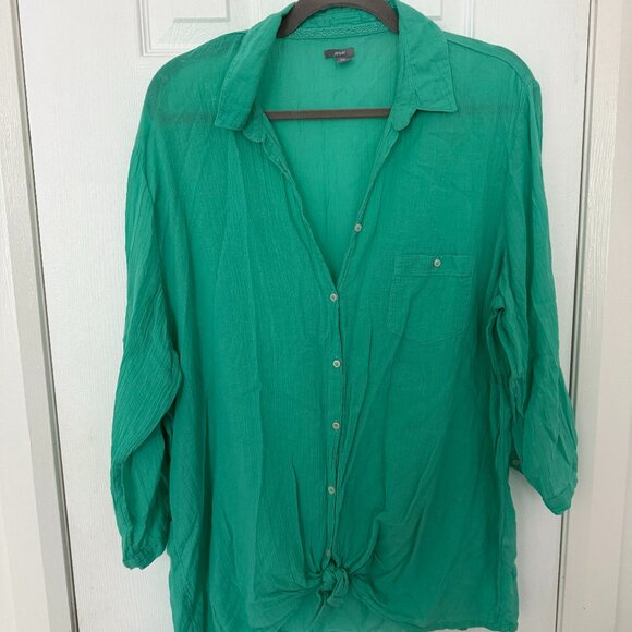 Aerie Lightweight Button Down - Picture 1 of 3